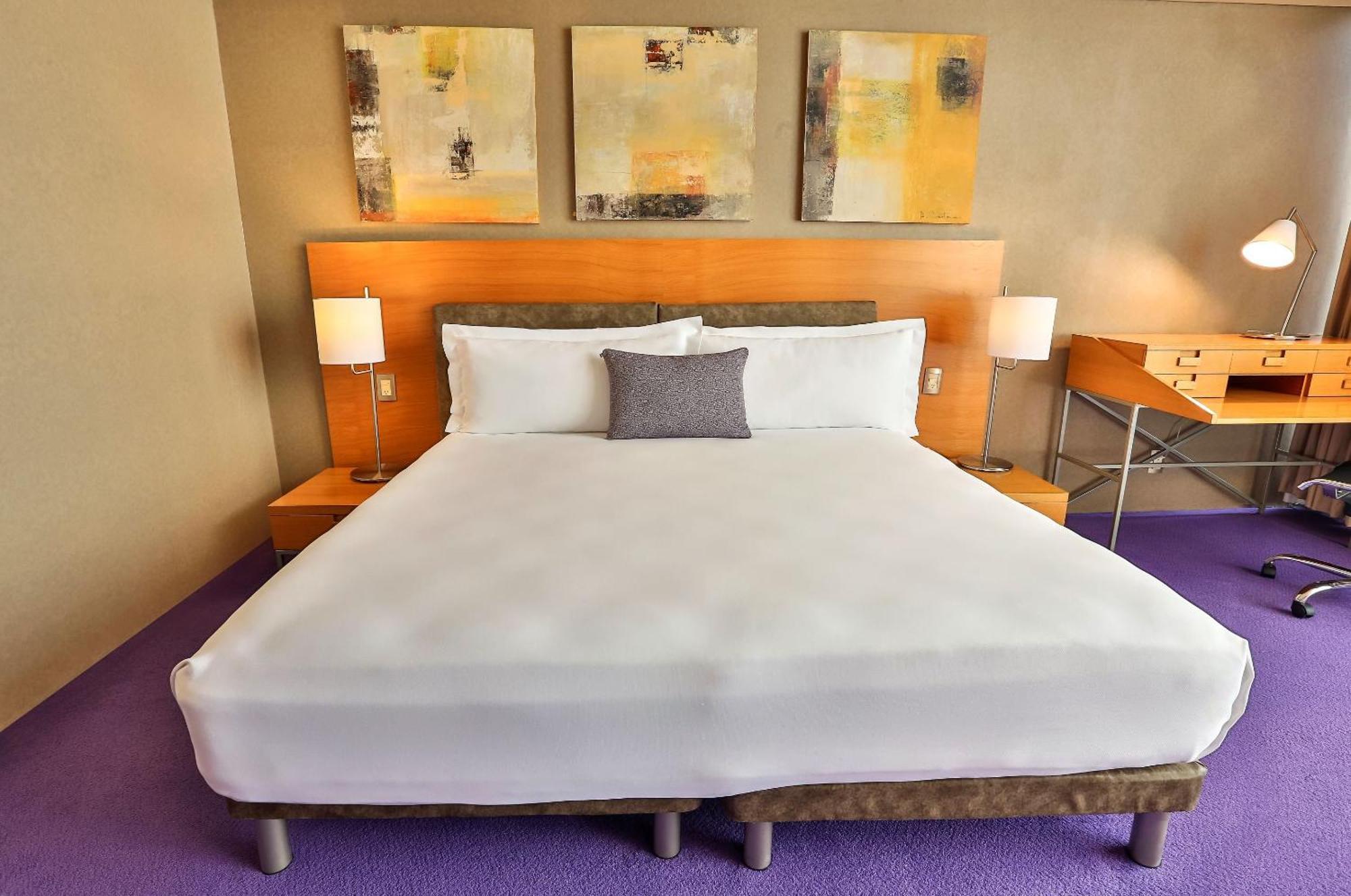 Camino Real Santa Fe Hotel Mexico City Exterior photo A room at the Standard East Village